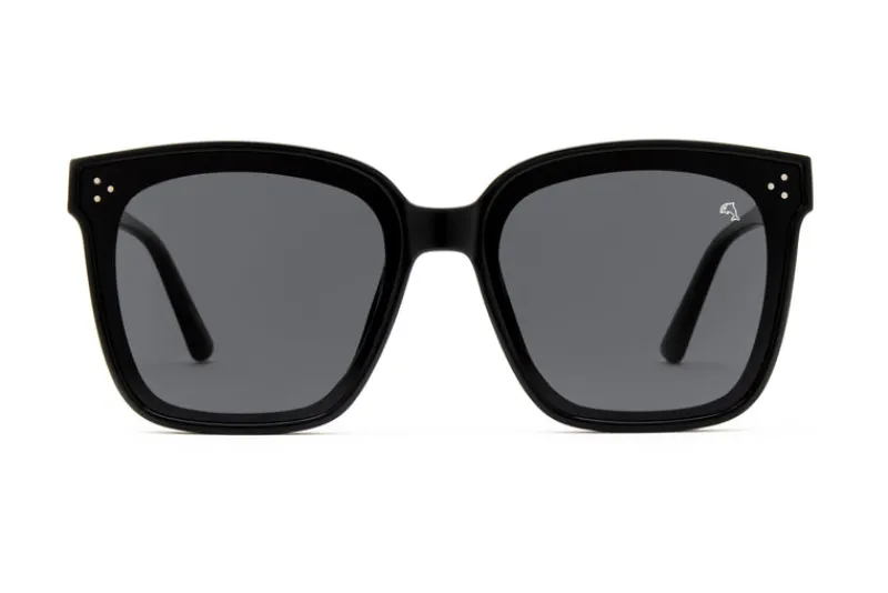 Sunglasses-Biscayners Sale