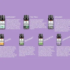 14 Pack of 100% Pure Essential Aromatherapy Oils-Pursonic Hot